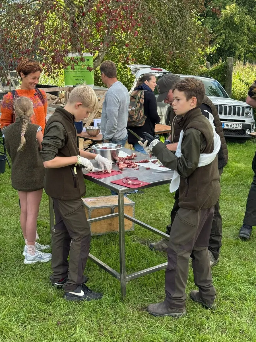 Children in field clothes take part in an outdoor workshop at the Kids in Nature conference.